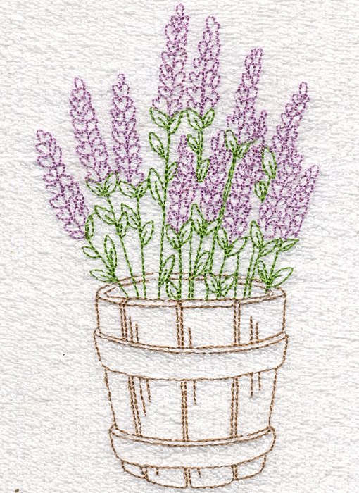 5x7 Lavender-12