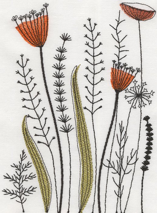 Field of Flowers-6