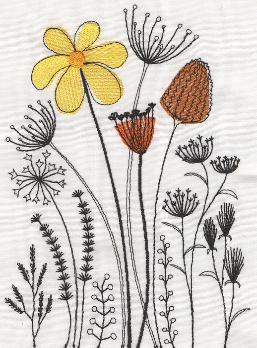 Field of Flowers-7