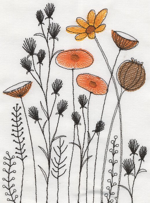 Field of Flowers-9