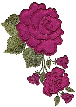 Roses 3 