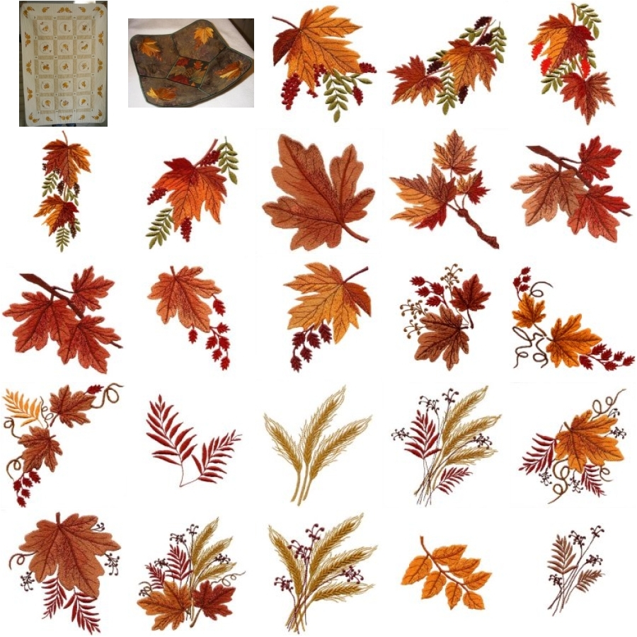 Fall Collection 1 