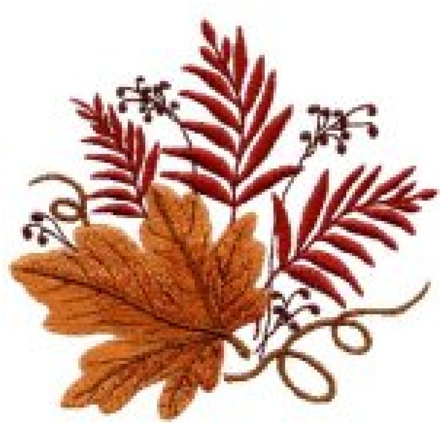 Fall Collection 1 