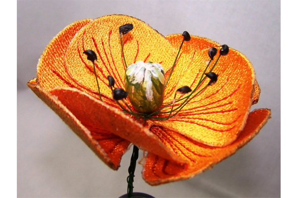 3D Orange Poppy -4