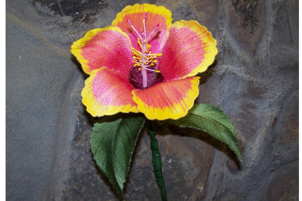 3D Chinese Hibiscus -4