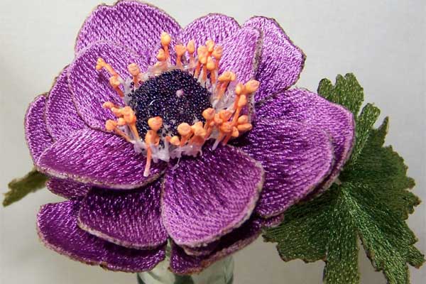 Purple Anemones -3