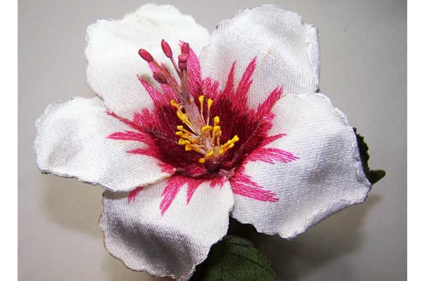 White Hibiscus -3