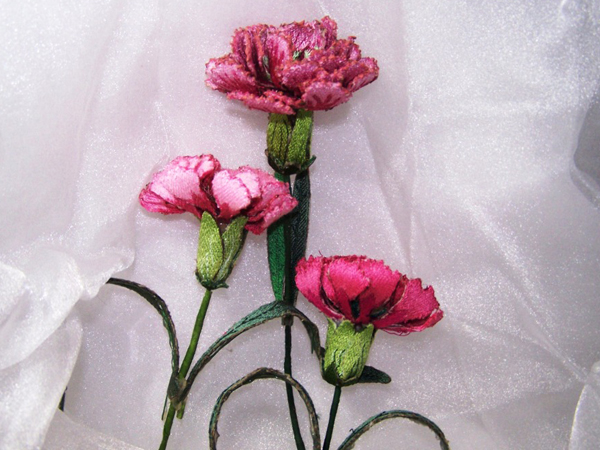 Pink Carnation -4