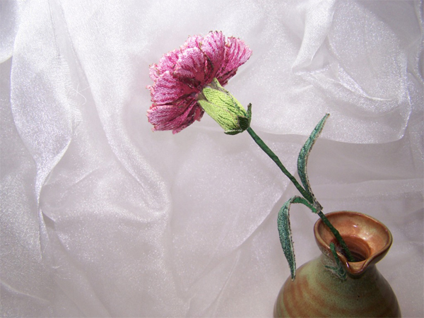 Pink Carnation -5