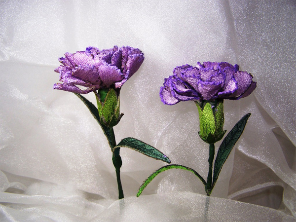 Lilac Carnation -4