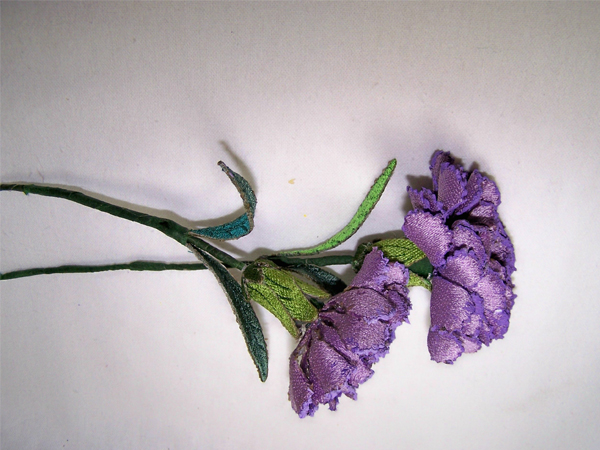 Lilac Carnation -5