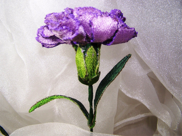 Lilac Carnation -6
