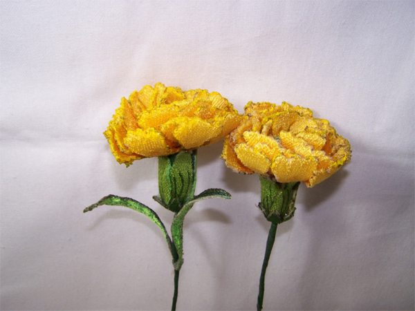 Yellow Carnation -3