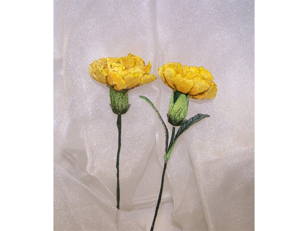 Yellow Carnation -4