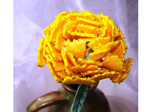 Yellow Carnation -6