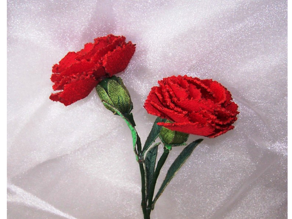 Red Carnation -3