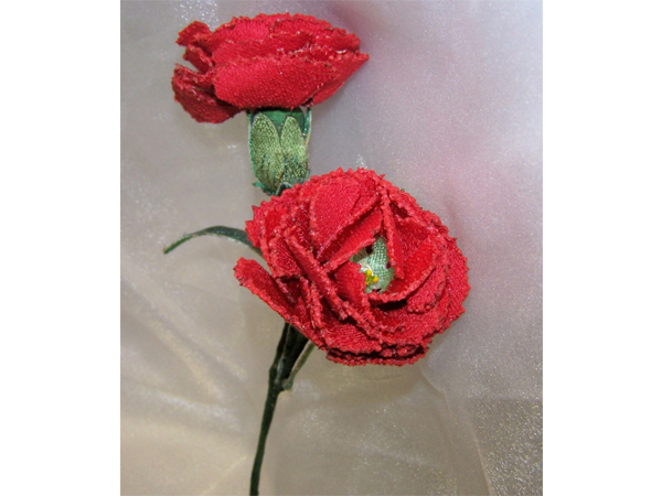 Red Carnation -4