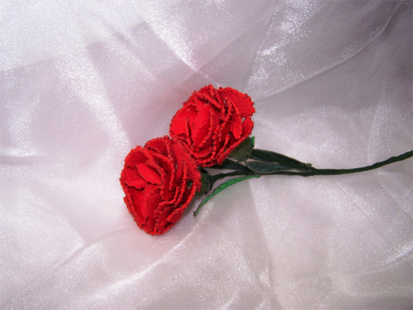 Red Carnation -5