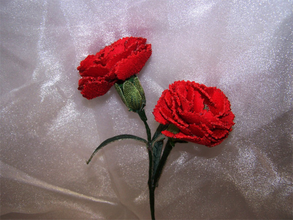 Red Carnation -6