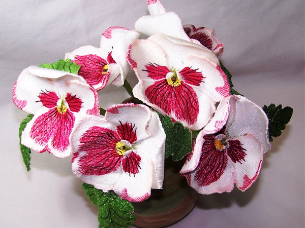 Pink Butterfly Pansy -4
