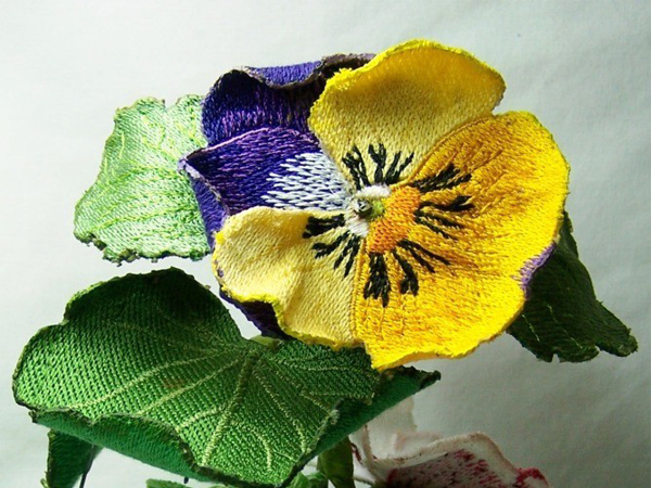 Purple and Yellow Pansy -3