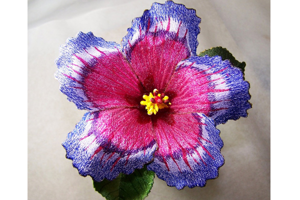 Night Fire Hibiscus -3