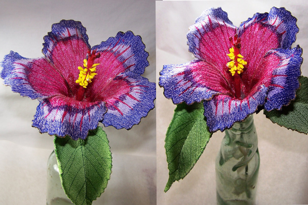 Night Fire Hibiscus -4
