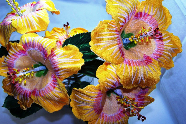 Yellow Hawaian Hibiscus -3