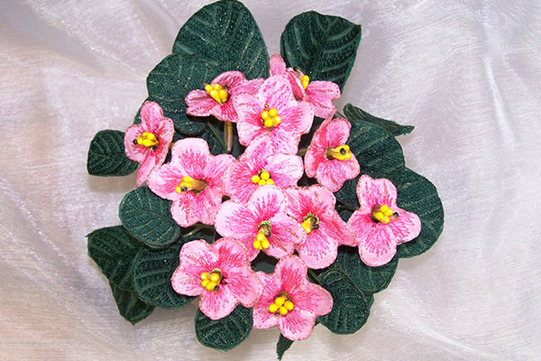 Pink Fabric African Violet -3