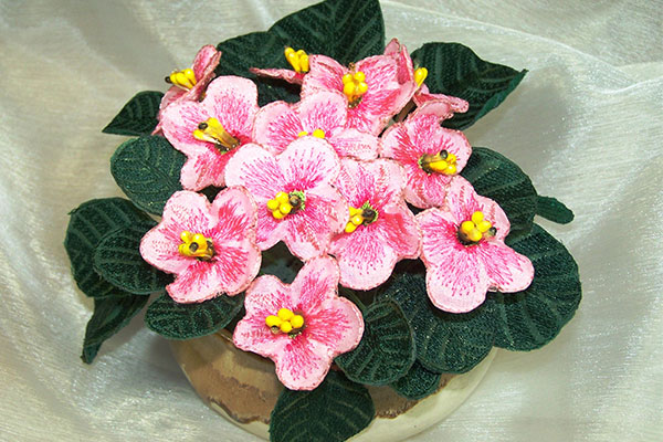 Pink Fabric African Violet -4