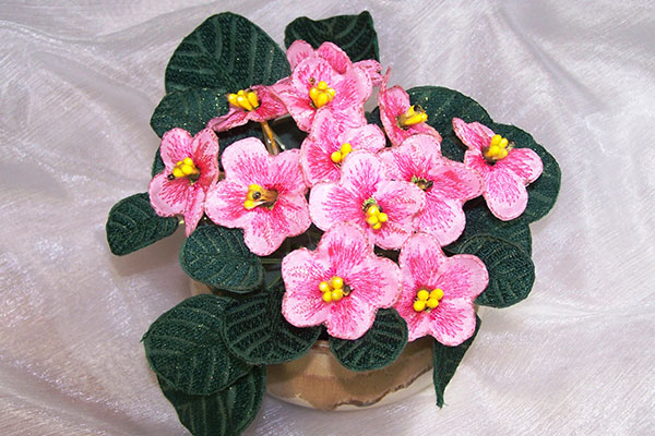 Pink Fabric African Violet -5