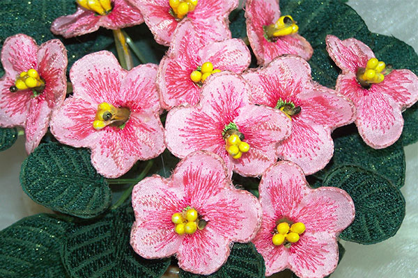 Pink Fabric African Violet -6