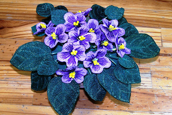 Purple Fabric African Violets -3