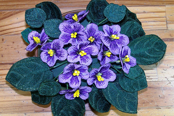 Purple Fabric African Violets -6