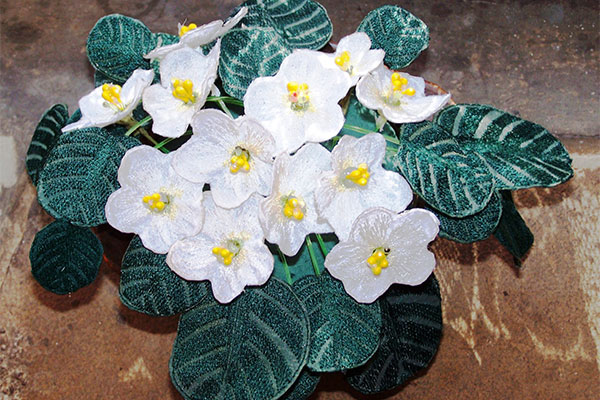 Fabric White African Violet -6