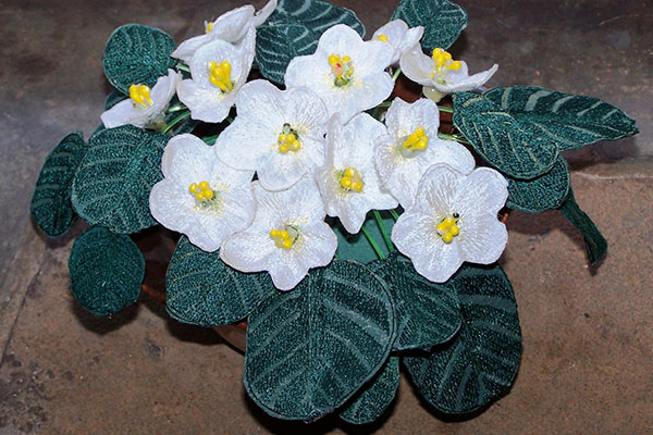 Fabric White African Violet -8