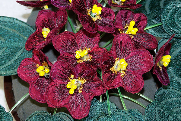 Fabric Burgundy African Violets -4