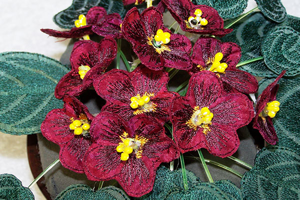 Fabric Burgundy African Violets -5