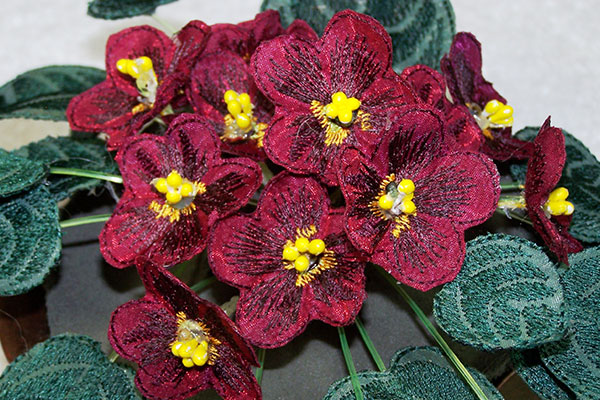 Fabric Burgundy African Violets -8