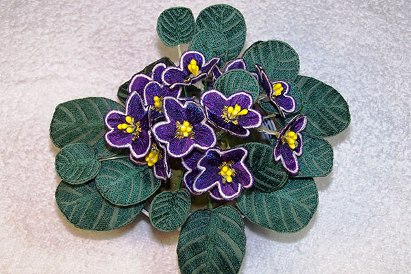 Dark Purple African Violets Fabric -5