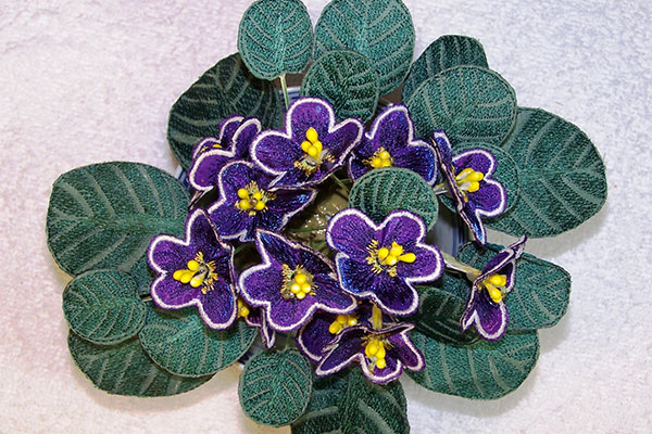 Dark Purple African Violets Fabric -6