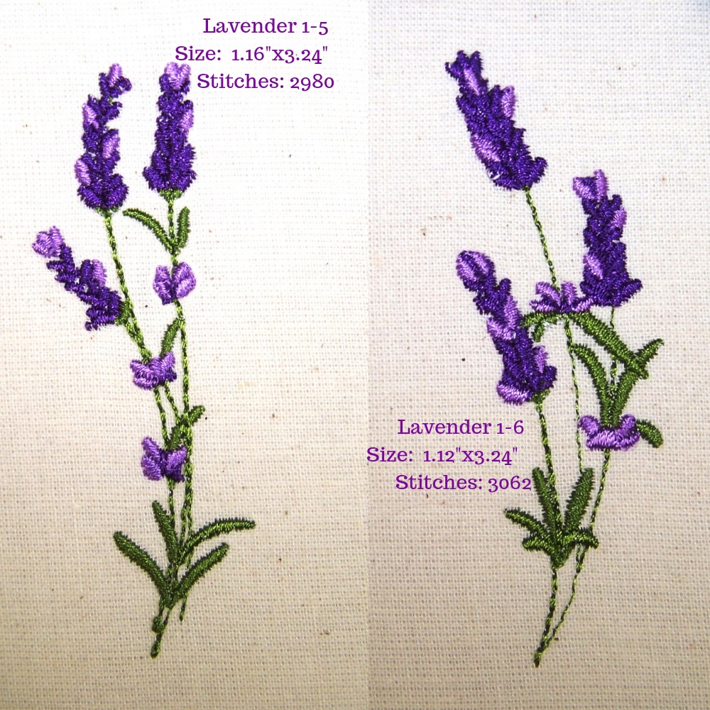 Lavender Fields 1-18