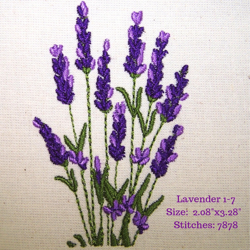 Lavender Fields 1-19