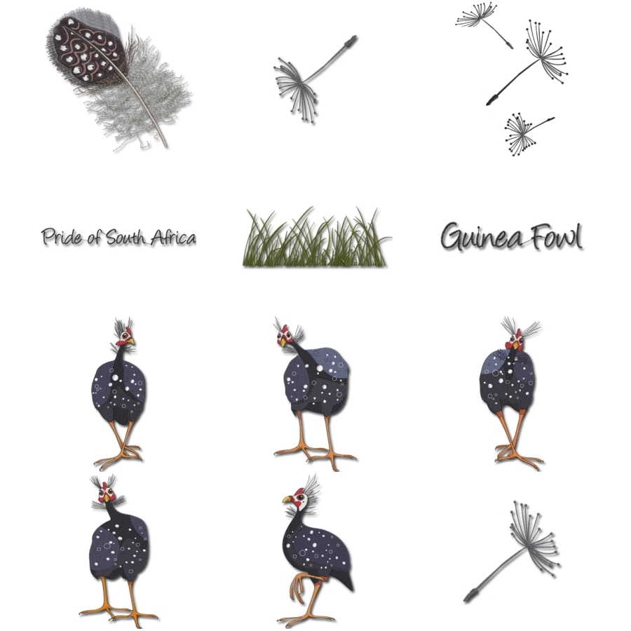 Guinea Fowl 