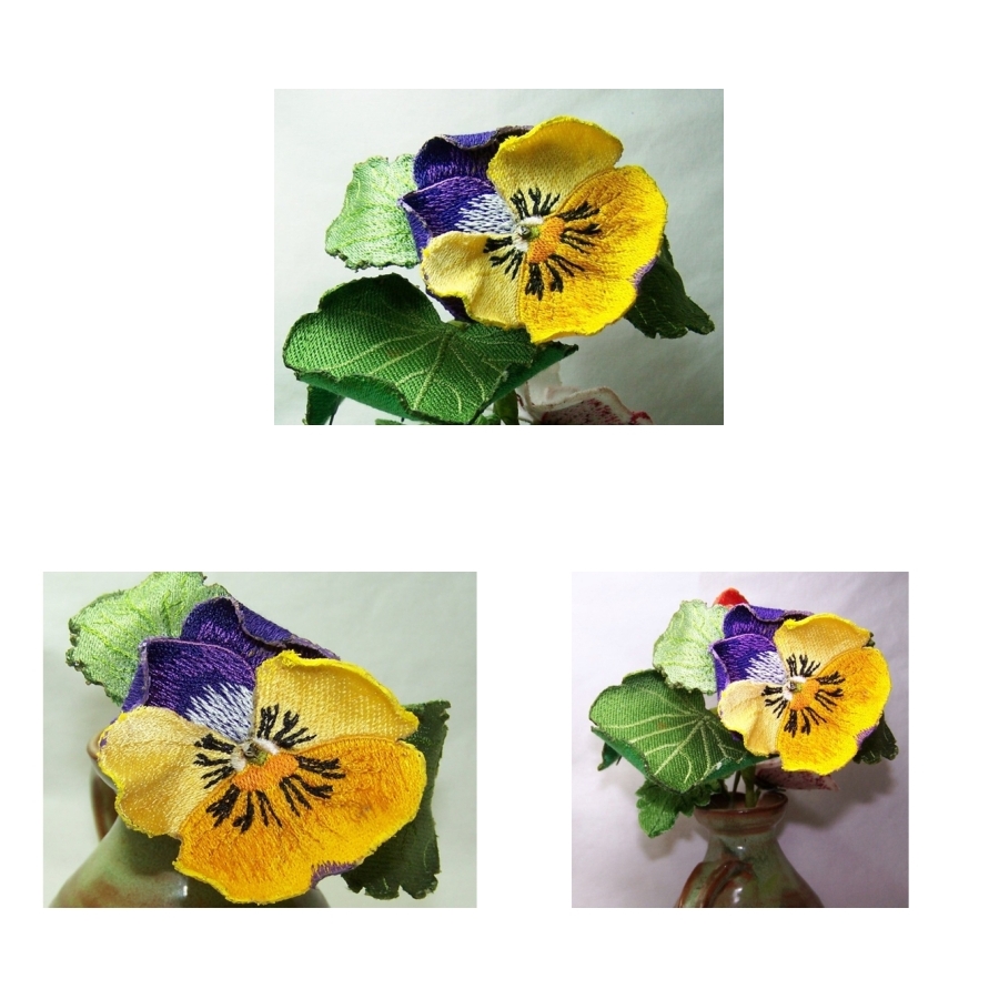 Purple and Yellow Pansy 