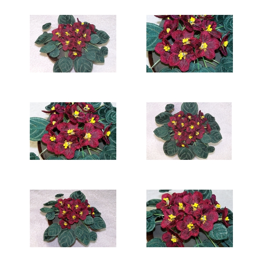 Fabric Burgundy African Violets 
