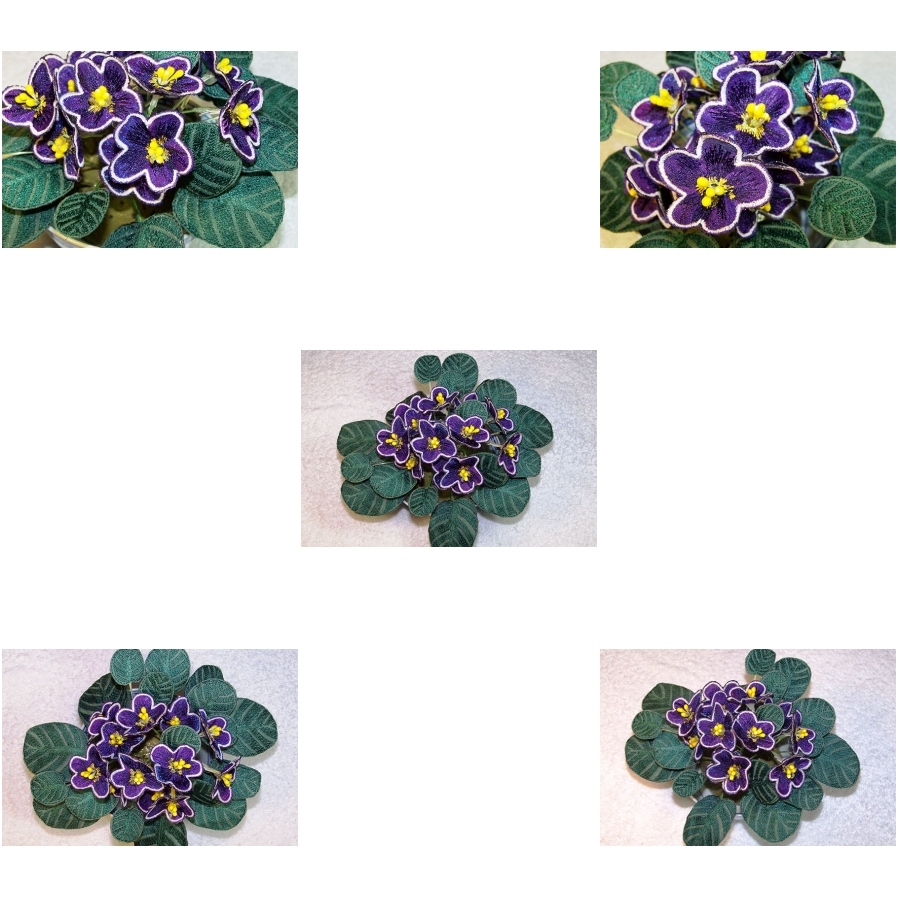 Dark Purple African Violets Fabric 
