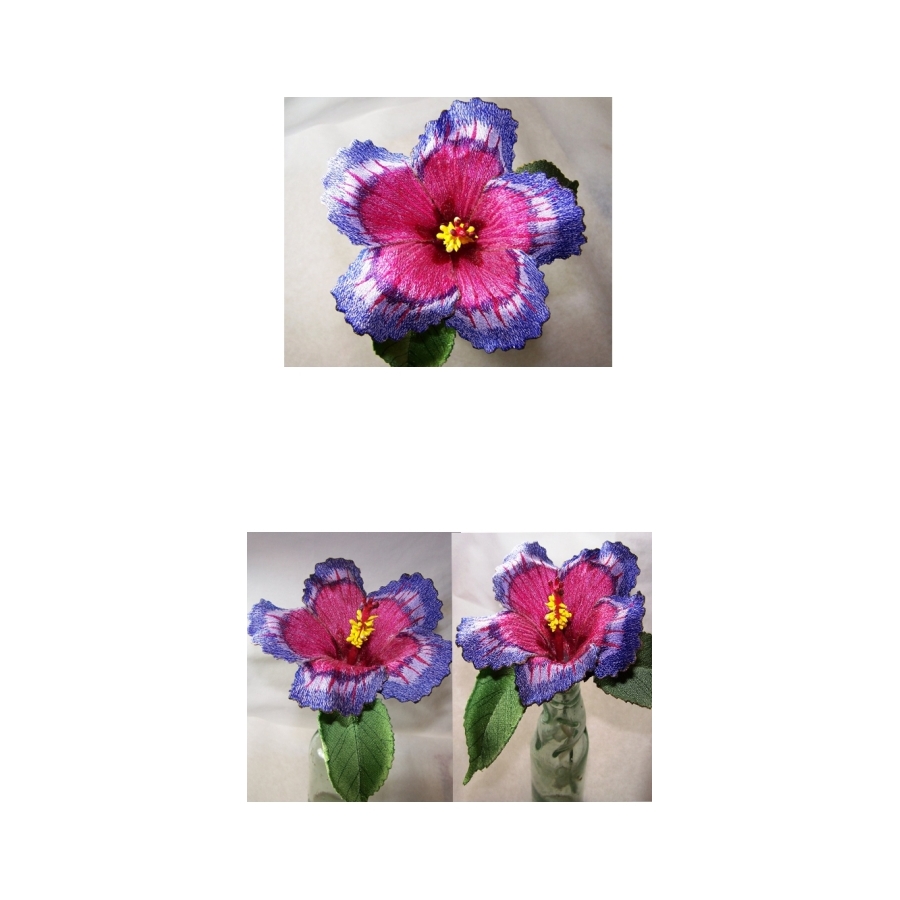 Night Fire Hibiscus 