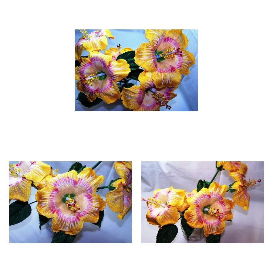 Yellow Hawaian Hibiscus 