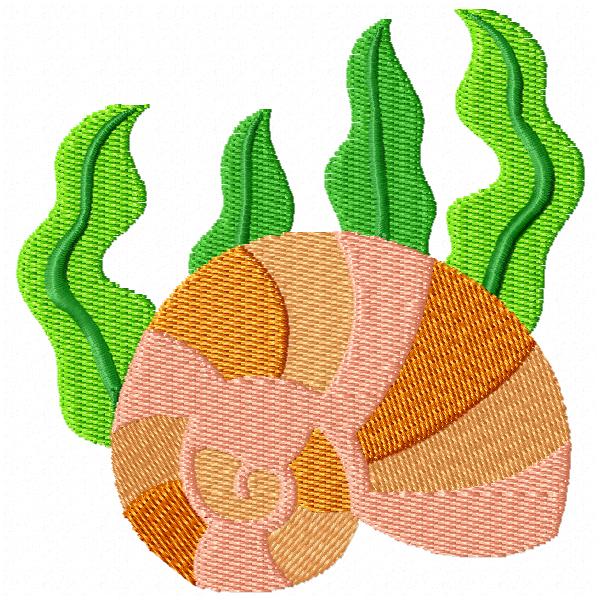 Seaweed and Shells-7